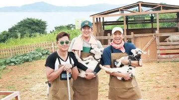 Zasłona к сериалу "삼시세끼 어촌편" #1428684