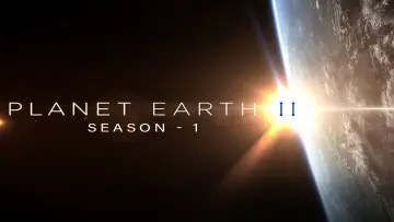 Zasłona к сериалу "Planeta Ziemia II" #1427985