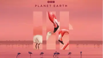Zasłona к сериалу "Planeta Ziemia II" #1427986