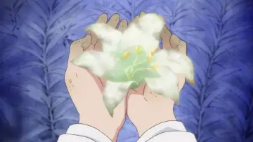 Zasłona do serialu "Yuri Kuma Arashi" #1744268
