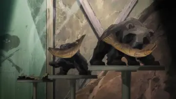 Zasłona do serialu "Yuri Kuma Arashi" #1744274