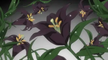 Zasłona do serialu "Yuri Kuma Arashi" #1744294