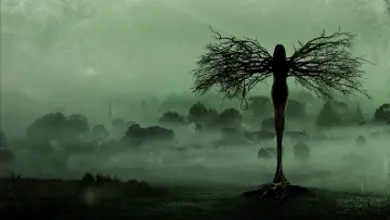 Zasłona к сериалу "Salem" #1394335