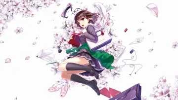 Zasłona к сериалу "Saenai Heroine no Sodatekata" #1417014