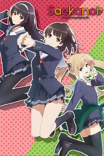 Plakat do serialu "Saenai Heroine no Sodatekata" #1660067