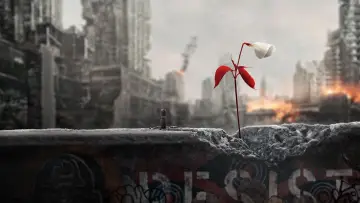Zasłona к сериалу "Opowieść podręcznej" #1267627