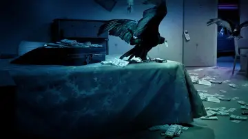 Zasłona к сериалу "Ozark" #1310326