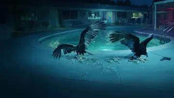 Zasłona к сериалу "Ozark" #1310335