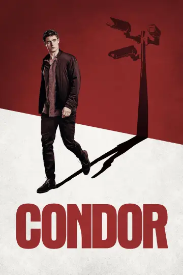 Trzy dni Kondora plakat