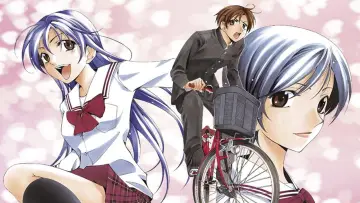 Zasłona do serialu "Kimi no Iru Machi" #1836677
