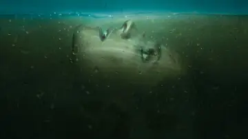 Zasłona к сериалу "Absentia" #1350285