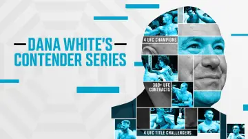 Zasłona к сериалу "Dana White