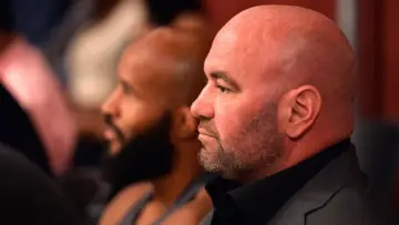 Zasłona к сериалу "Dana White