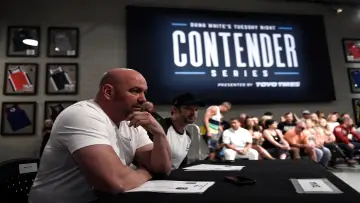 Zasłona к сериалу "Dana White