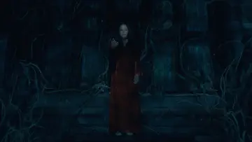 Zasłona к сериалу "Nawiedzony dom na wzgórzu" #1351580