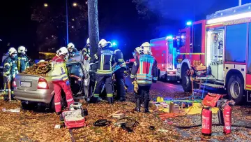 Zasłona do serialu "Feuer & Flamme" #1482550