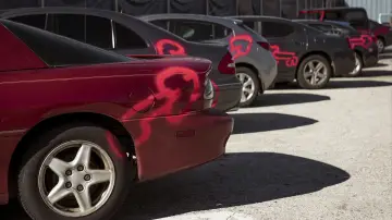 Zasłona к сериалу "American Vandal" #1447794