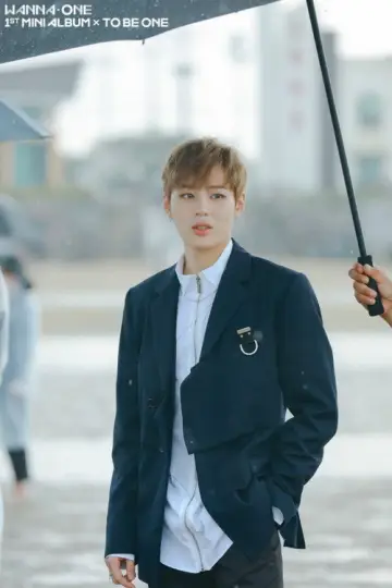 Plakat do serialu "Wanna One GO" #1804029