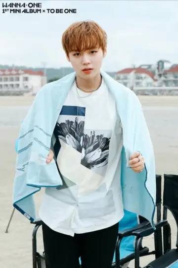 Plakat do serialu "Wanna One GO" #1804030