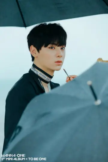 Plakat do serialu "Wanna One GO" #1804033