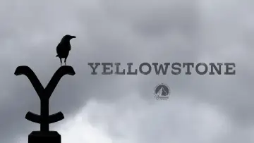 Zasłona к сериалу "Yellowstone" #1317630