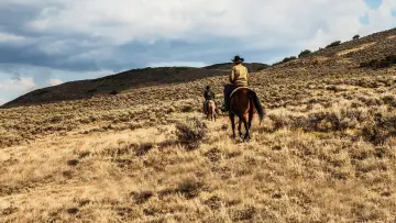 Zasłona к сериалу "Yellowstone" #1317638
