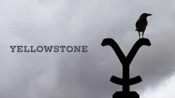 Zasłona к сериалу "Yellowstone" #1317659