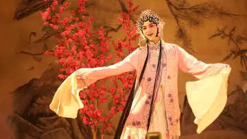 Zasłona к сериалу "那年花开月正圆" #1416219