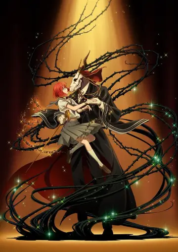 Plakat к сериалу "The Ancient Magus