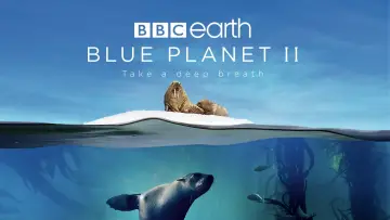 Zasłona к сериалу "Błękitna planeta II" #1454209