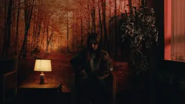Zasłona к сериалу "The End of the F***ing World" #1336921
