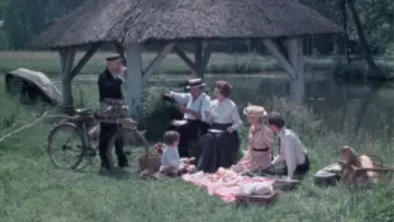Zasłona do serialu "Dom w lesie" #1728929