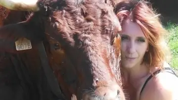 Zasłona do serialu "Échappées Belles" #1338770