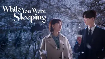 Zasłona к сериалу "While You Were Sleeping" #1391588
