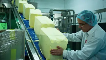 Zasłona do serialu "Fabryki smaku" #1676712