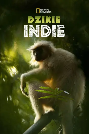 Dzikie Indie (2012)