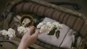 Zasłona к сериалу "Ania, nie Anna" #1327453