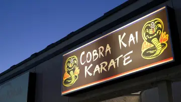 Zasłona к сериалу "Cobra Kai" #1292457