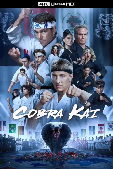 Plakat к сериалу "Cobra Kai" #1292521