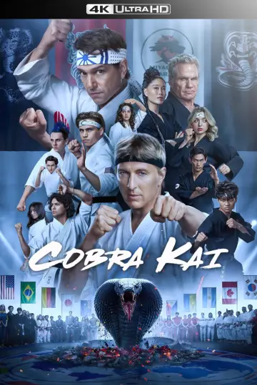 Plakat к сериалу "Cobra Kai" #1292545