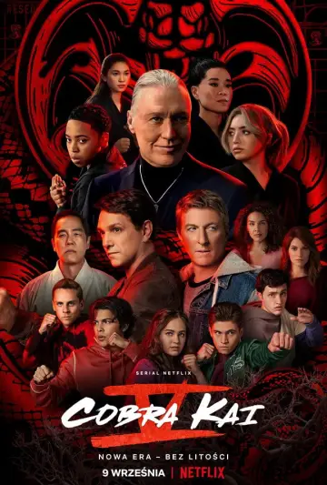 Cobra Kai plakat