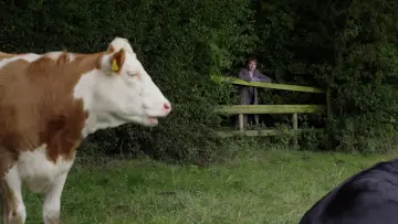 Zasłona к сериалу "Cunk on..." #1496226
