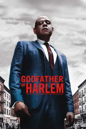 Plakat к сериалу "Ojciec chrzestny Harlemu" #1333820