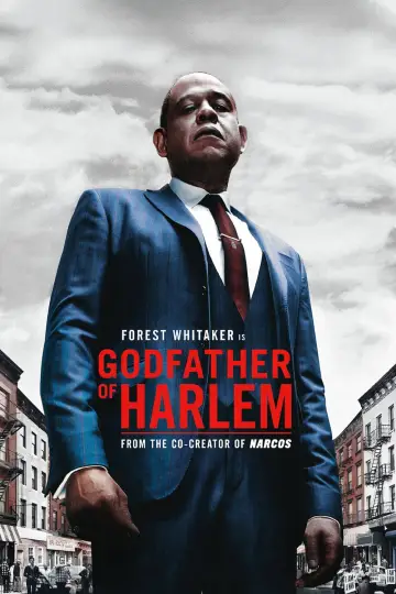 Plakat к сериалу "Ojciec chrzestny Harlemu" #1333826