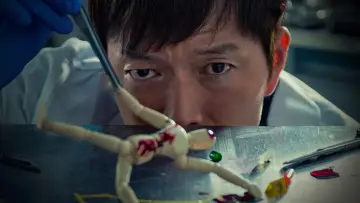 Zasłona к сериалу "검법남녀" #1399979