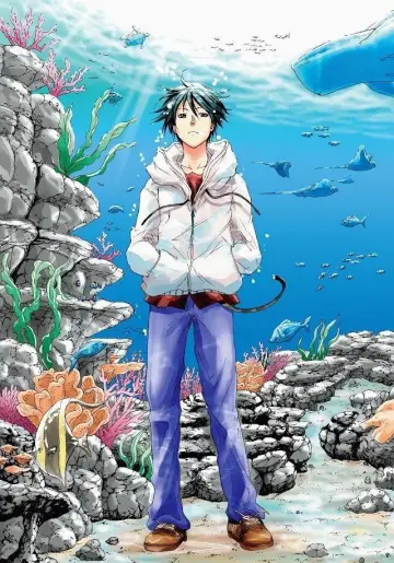 Plakat do serialu "ぐらんぶる" #1534663