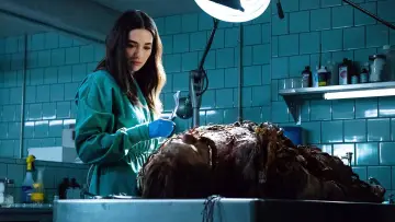 Zasłona к сериалу "Potwór z bagien" #1417969