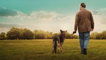 Zasłona к сериалу "After Life" #1450720