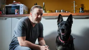 Zasłona к сериалу "After Life" #1450723
