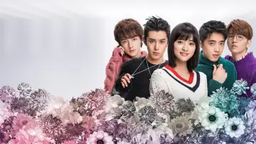 Zasłona к сериалу "流星花园" #1441809